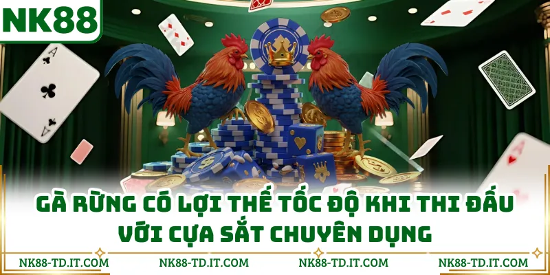 Gà Rừng Có Lợi Thế Tốc Độ Khi Thi Đấu Với Cựa Sắt Chuyên Dụng